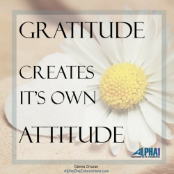 Gratitude Creates It's Own Attitude