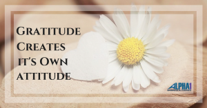 Gratitude Creates It's Own Attitude
